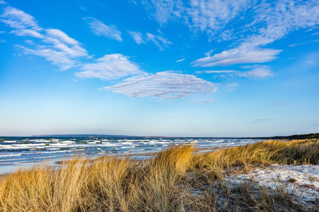 Baltic sea with golden dune grass